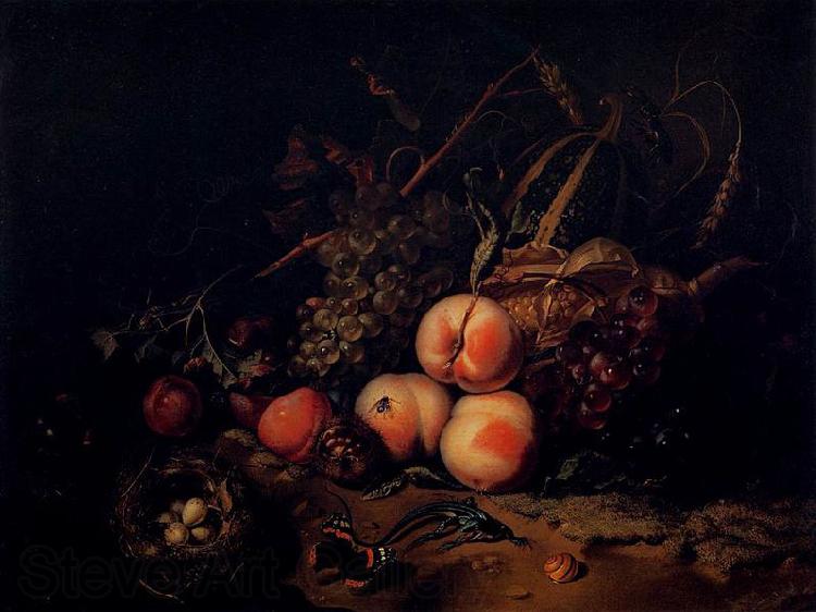 Rachel Ruysch Still-Life with Fruit and Insects Spain oil painting art